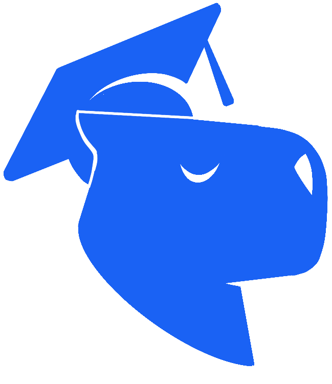 CapLearn logo